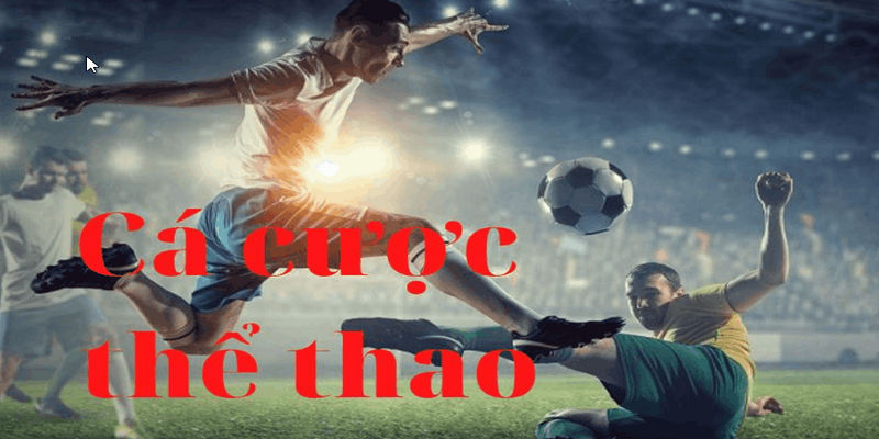 Giao diện web được cải thiện, nâng cấp liên tục